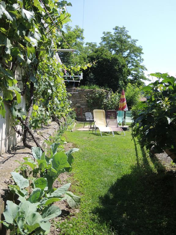 Pension Hamry Vranov nad Dyji Exterior photo
